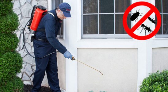 Boğazkale Fare İlaçlama böcek ilaçlama ve haşere kontrolü — ilaclama-tr.com
